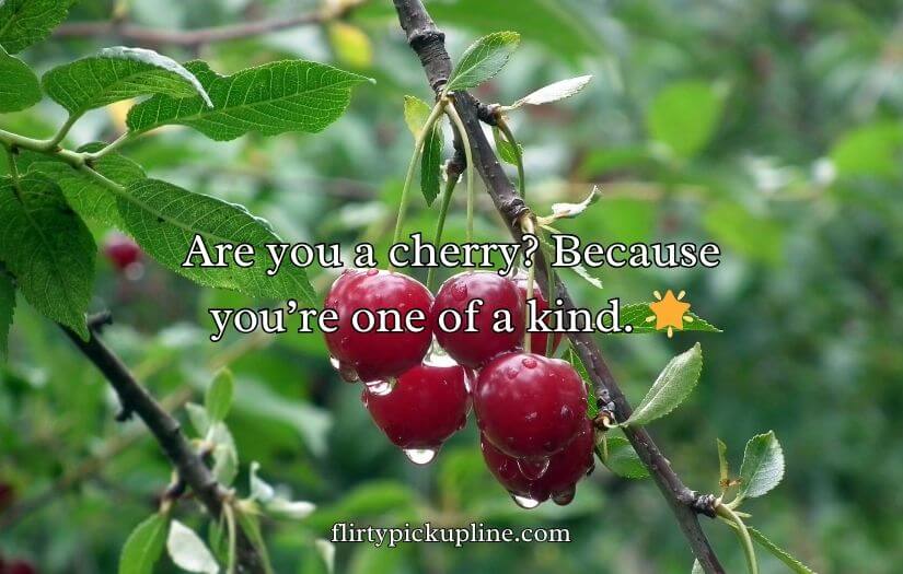 Cherry Pick-Up Lines