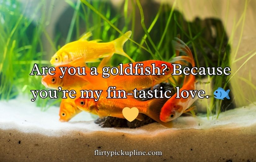 Goldfish Pick-Up Lines
