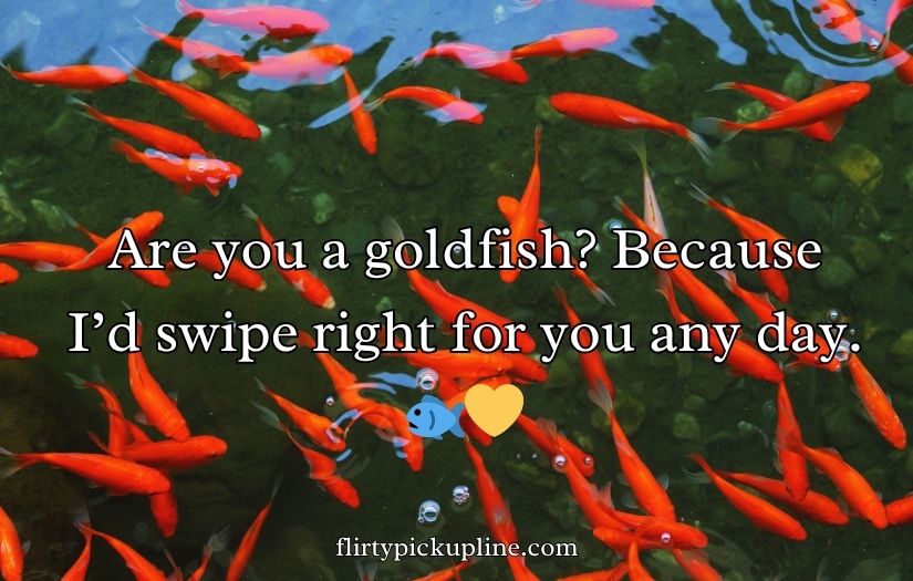 Goldfish Pick-Up Lines