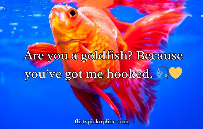 Goldfish Pick-Up Lines