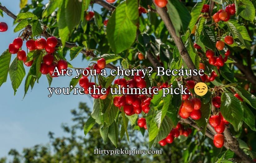 Cherry Pick-Up Lines