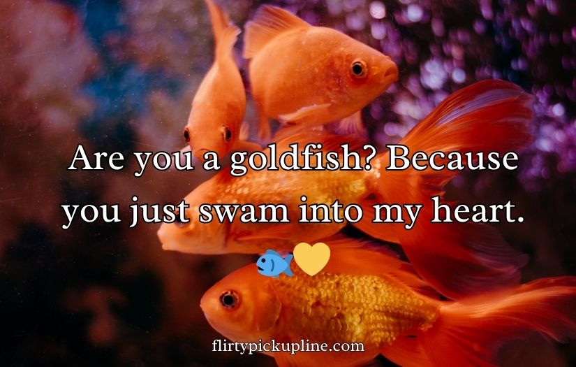 Goldfish Pick-Up Lines