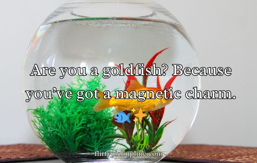 Goldfish Pick-Up Lines