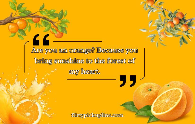 Best Orange Pickup Lines