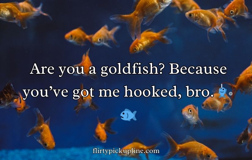 Goldfish Pick-Up Lines