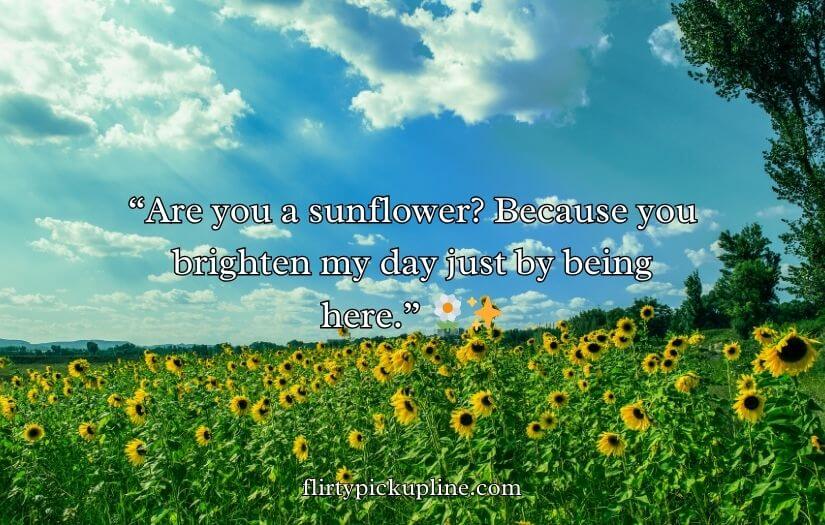 Sunflower Rizz Lines