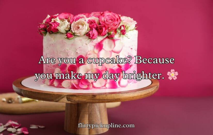 Best Cake Pick Up Lines And Rizz