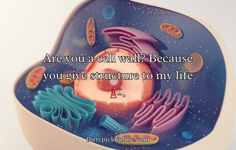 Cell Wall Pick Up Lines
