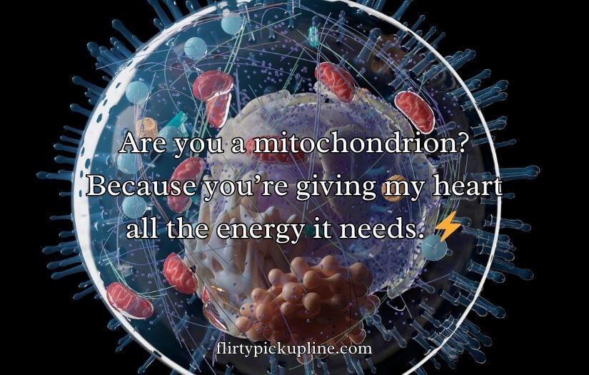 Mitochondria Pick Up Lines