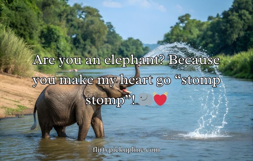 Best Elephant Pick Up Lines And Rizz