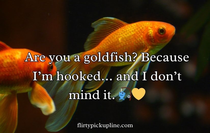Goldfish Pick-Up Lines