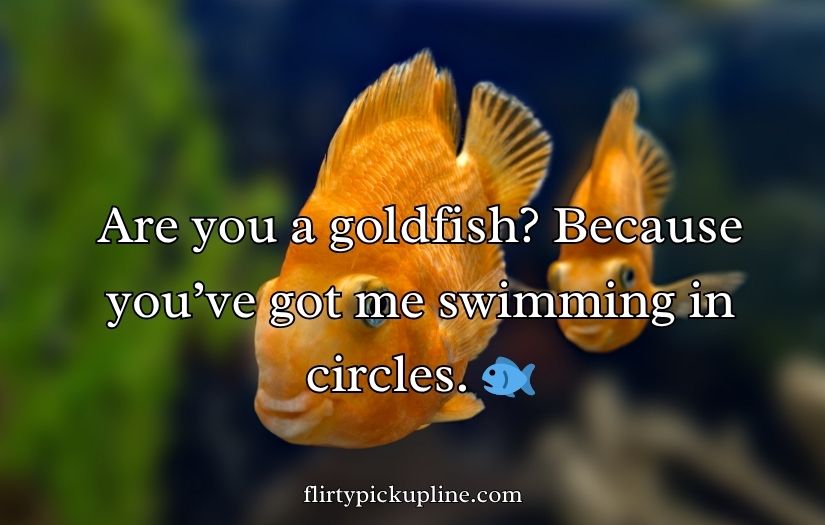 Goldfish Pick-Up Lines