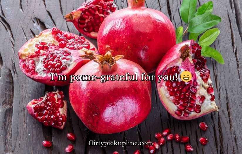 Juicy Pomegranate Puns