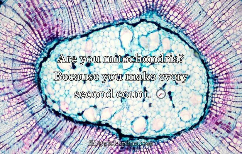Mitochondria Pick Up Lines