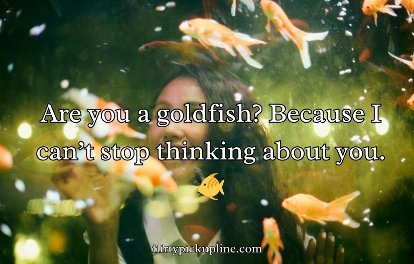 Goldfish Pick-Up Lines
