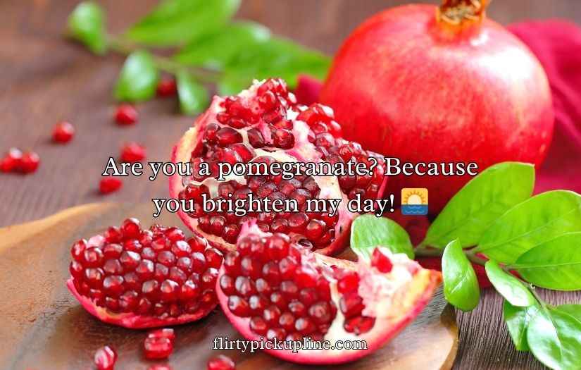 Juicy Pomegranate Puns