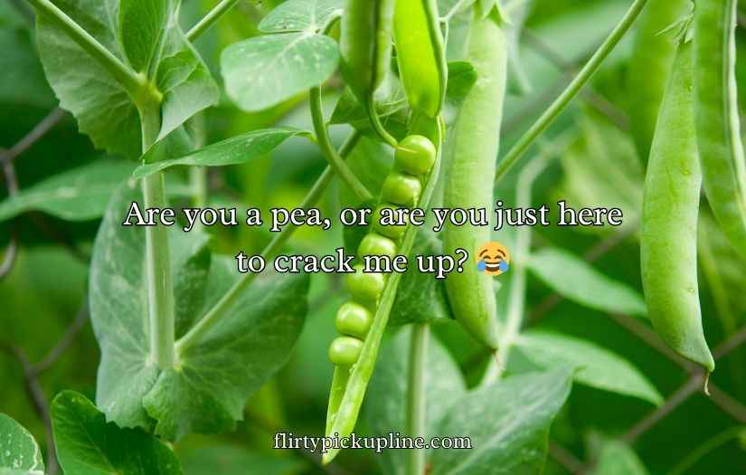 Pea Pickup Lines