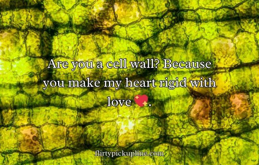 Cell Wall Pick Up Lines