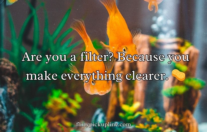 Goldfish Pick-Up Lines