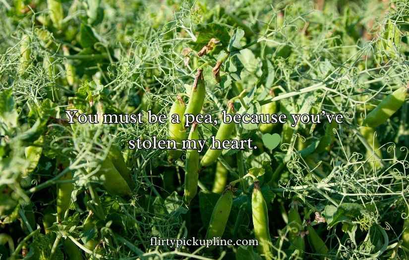 Pea Pickup Lines