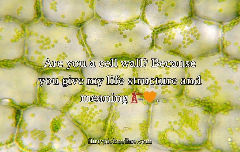 Cell Wall Pick Up Lines