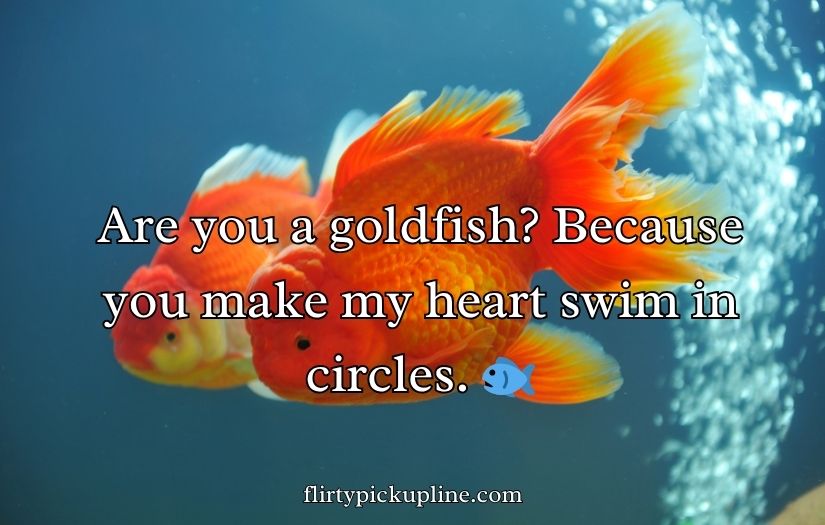 Goldfish Pick-Up Lines