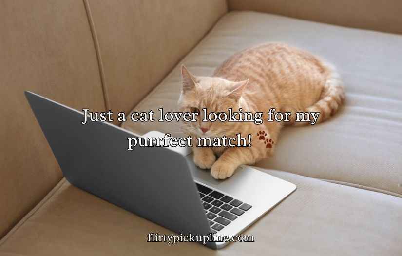 Cat Pick Up Lines