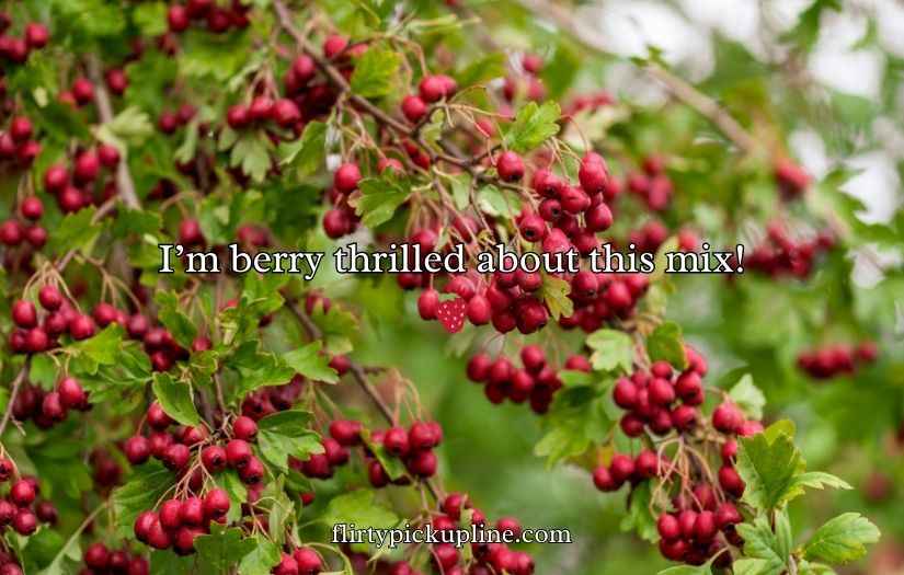 Berry Puns