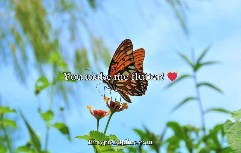 Butterfly Puns for Valentine’s Day