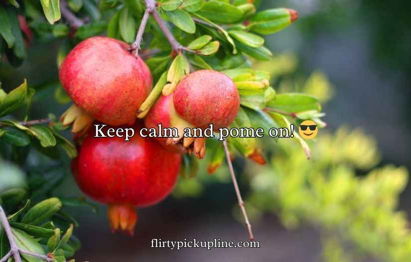 Juicy Pomegranate Puns