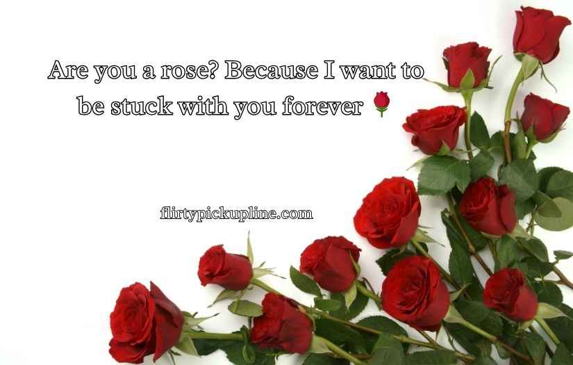 Flower Pick Up Lines