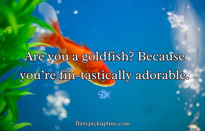 Goldfish Pick-Up Lines