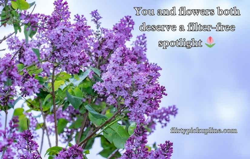 Flower Pick Up Lines