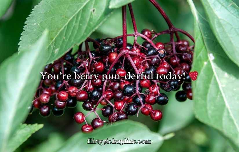 Berry Puns