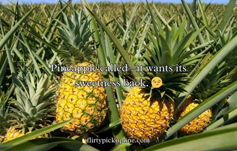 Pineapple Pick Up Lines