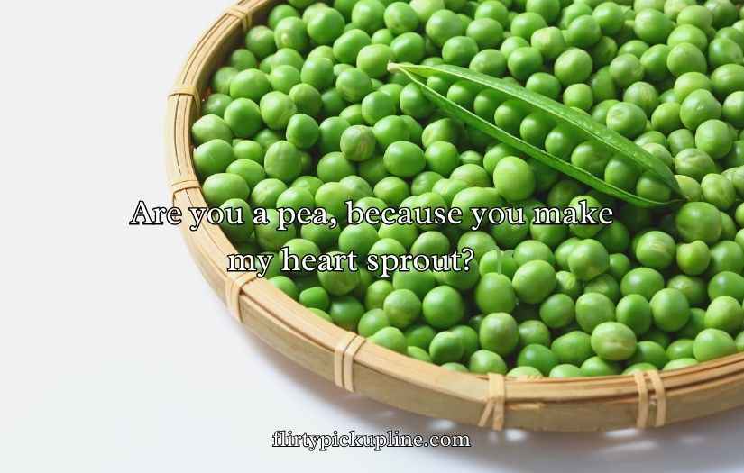 Pea Pickup Lines