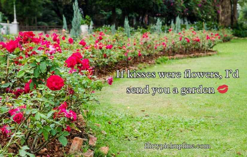 Flower Pick Up Lines