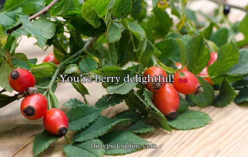 Berry Puns