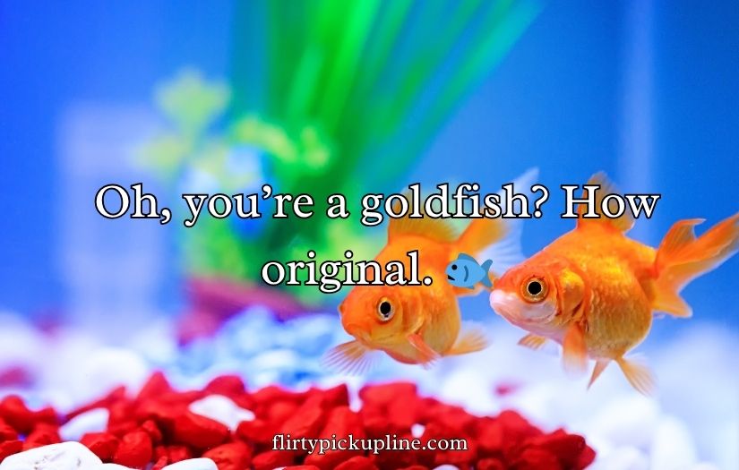Goldfish Pick-Up Lines