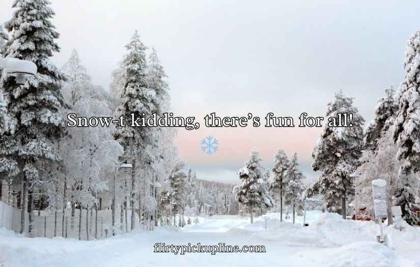 Snow Puns