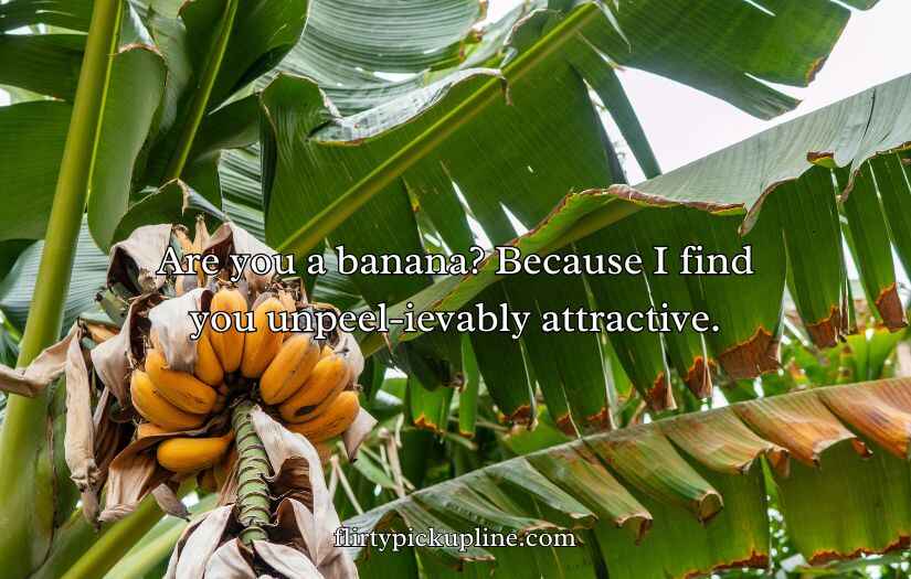 Banana Pick Up Lines