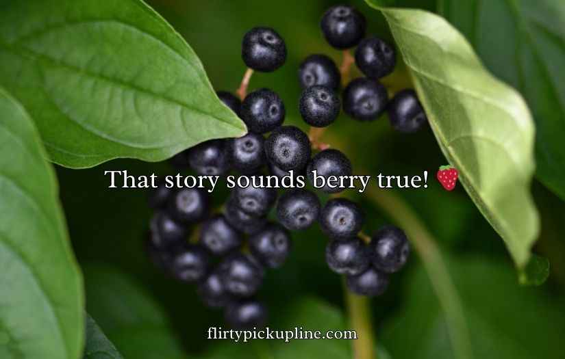 Berry Puns