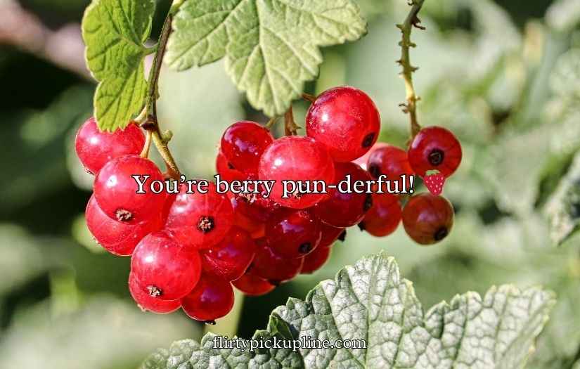 Berry Puns