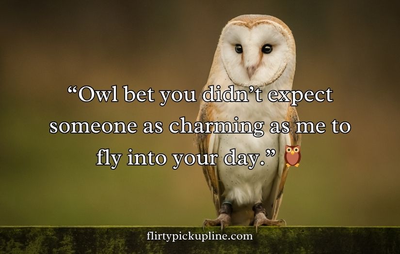 Best Owl Pick Up Lines