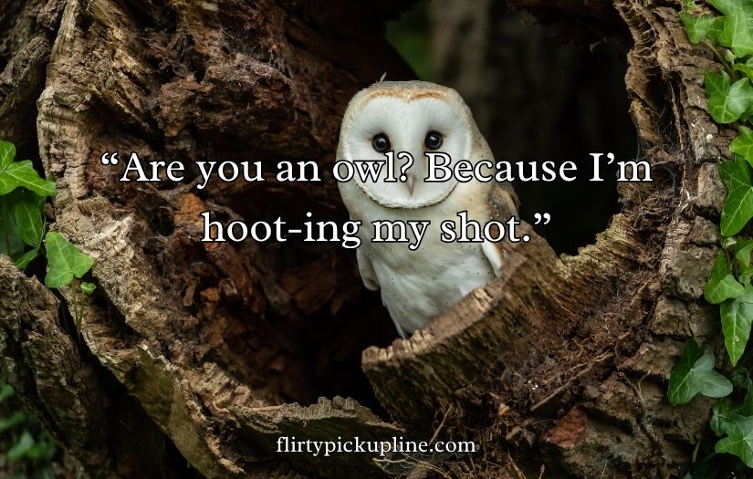 Best Owl Pick Up Lines