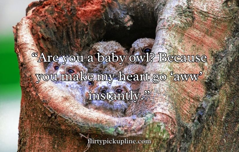 Best Owl Pick Up Lines