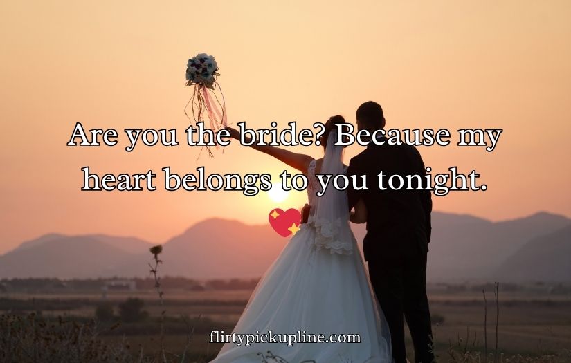 Best Wedding Pick Up Lines