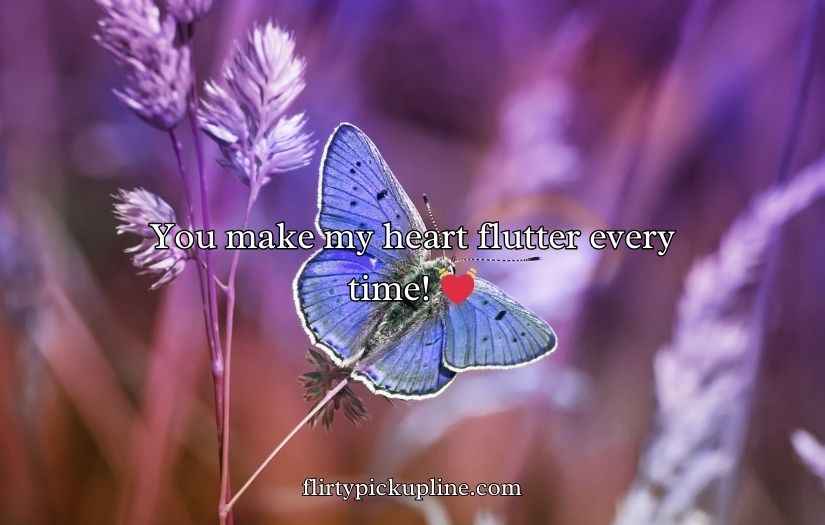 Butterfly Puns for Valentine’s Day