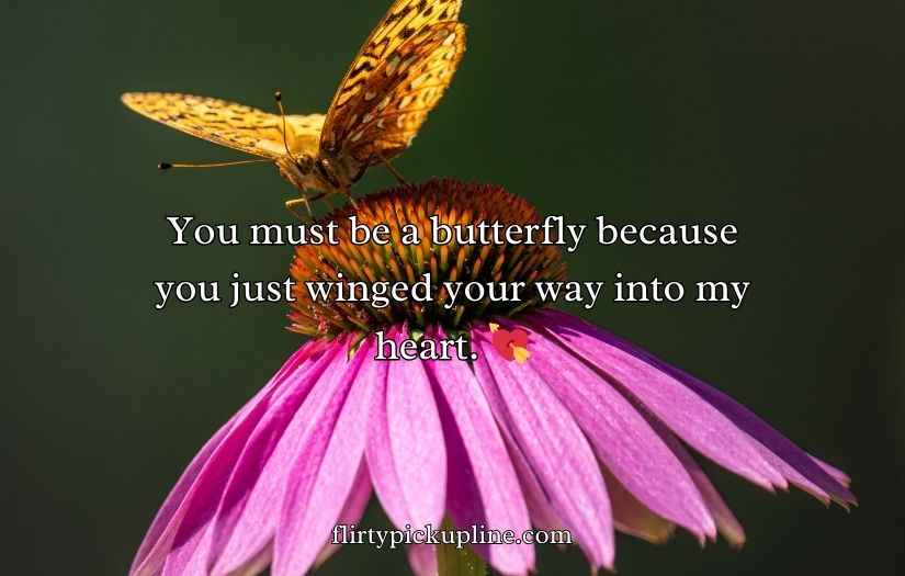 Butterfly Puns for Valentine’s Day