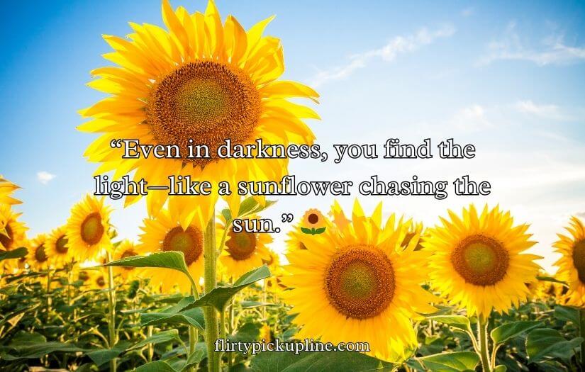 Sunflower Rizz Lines